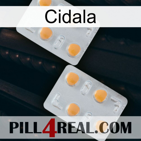 Cidala 25